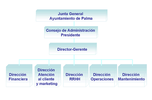 Organisationsstruktur